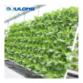 Agricultural Greenhouse Soiless Cultivation System for Sale